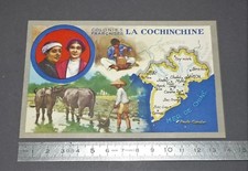 CARTE CHROMO LION NOIR 1920