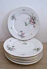 6 GRANDES ASSIETTES FLORAL EN