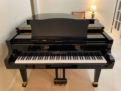 Hamburg steinway model peer - b,