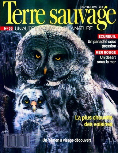 Terre sauvage ecureuil - n°36,
