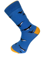 Frederick Thomas Bleu Clair Homme Coton Chaussettes Avec Baleine Modèle