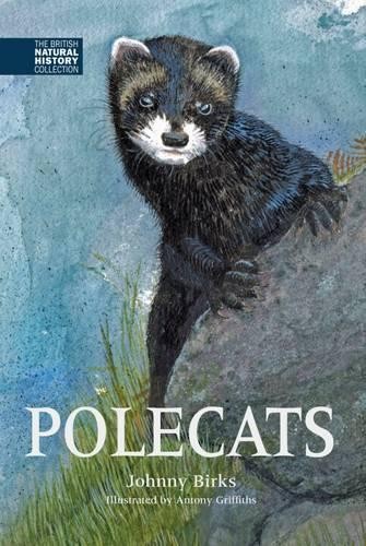 Johnny birks polecats - johnny, (relié)