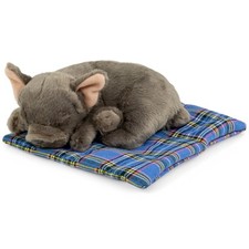 Carl Dick bouledogue français