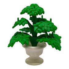 sympa plante arbuste
