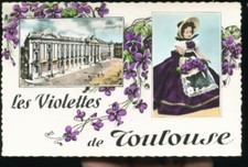 TOULOUSE LES VIOLETTES