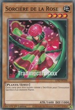Yu-Gi-Oh! Sorcière de la Rose : C LDS2-FR100
