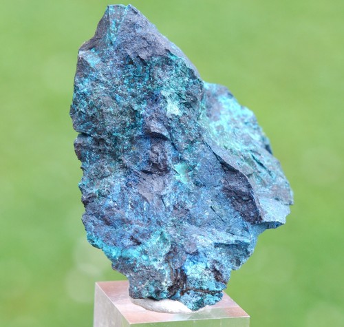 Chrysocolle grammes lily - -,