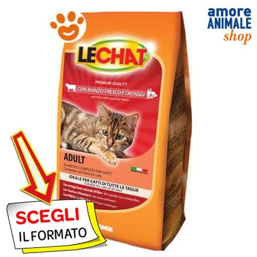 Lechat chat adulte - bœuf, et