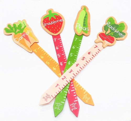 Vegetable fruit wooden - wooden, garden