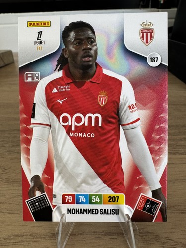 Panini adrenalyn ligue - panini,