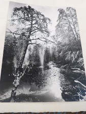 3° PHOTO TAIRRAZ "CHAMONIX - RIVIERE NEIGE" / PEINTURE / SORTI DE GRENIER