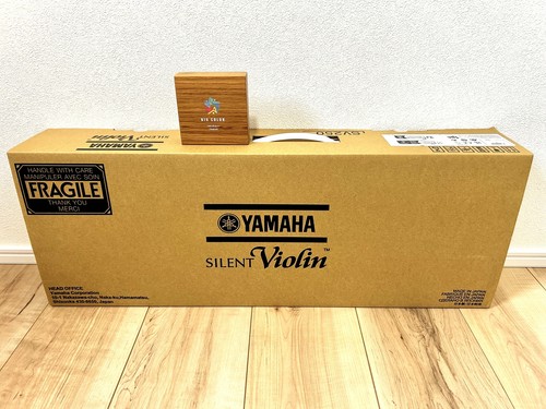 Violon électrique silencieux