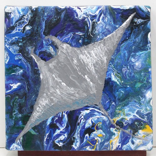Peinture raie manta - la,