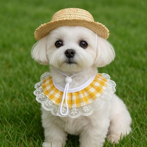 Chapeau oie écharpe - d'oie,,