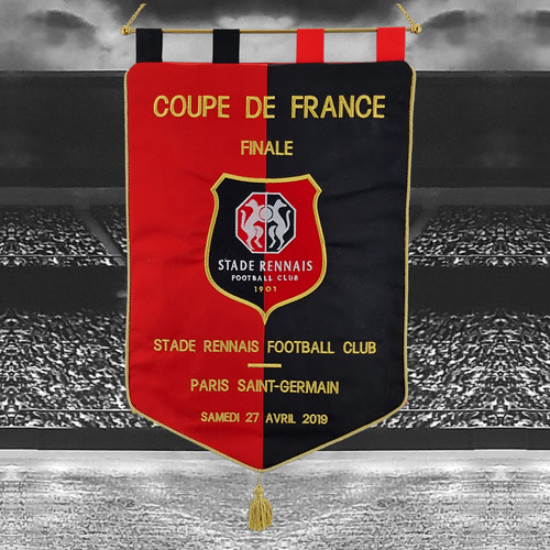Stade rennais psg 2019 - v,