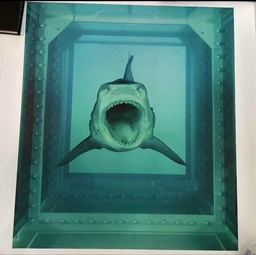 Damien hirst impossibilité - damien, l'impossibilité