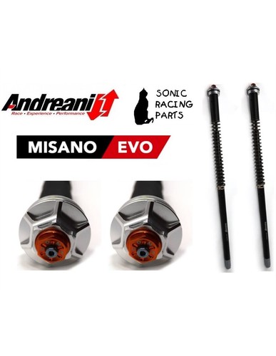 105 g07e cartouche andreani - 105/g07e,