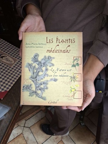 Ulmer plantes médicinales - ulmer,