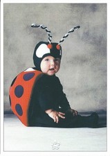 Carte postale Tom Arma BÉBÉ format cpm (coccinelle)