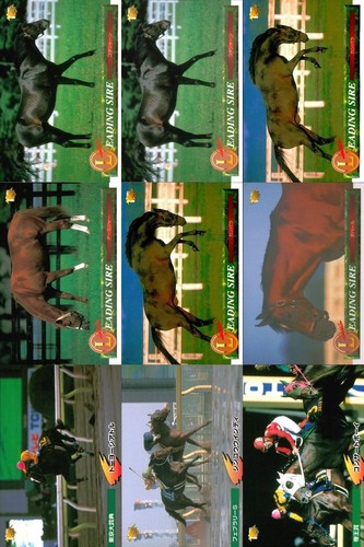 Horse racing card bandai - horse,