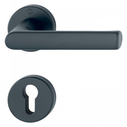 Poignées porte sur rosaces - porte,
