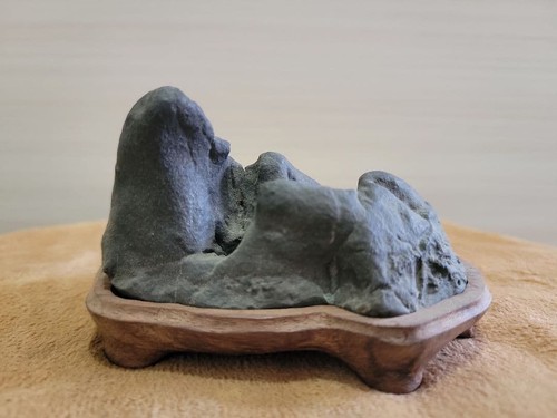 Suiseki bonseki bonsai - bonseki,