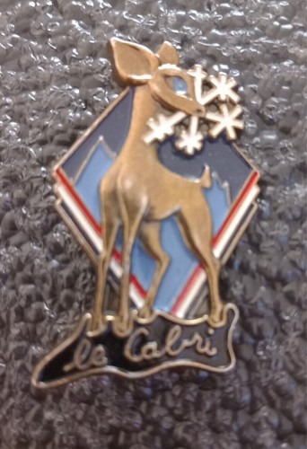 Médaille broche esf flocon - médaille,