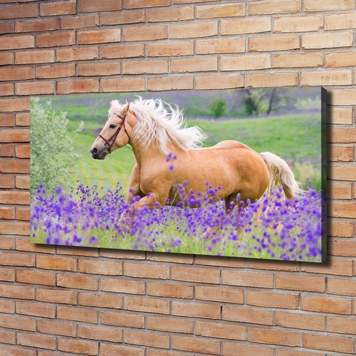 Tulup image sur toile tableau - sur,