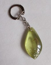 Porte-clés Hippocampe