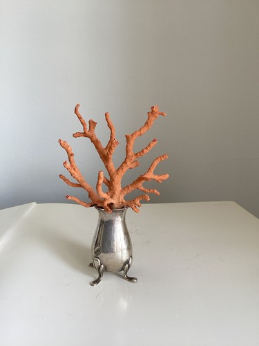Branche corail rouge de - branche,