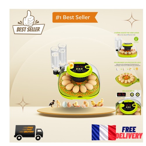 Couveuse œufs avec - couveuse,