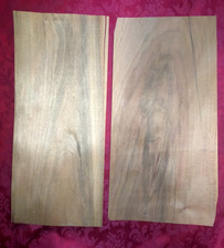 Noyer: 2 feuilles de placage