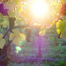 Offre hôtel 3* Dettelbach