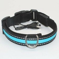 Collier pour chien tous types