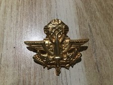 INSIGNE TAP.  17 RGP.  CCL