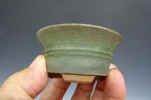 Pot bonsaï japonais - à, tenryu