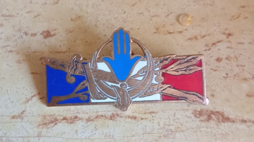 Insigne afn forces - afn,