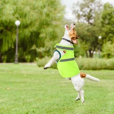  Gilet Chasse Blouson Pour Chien Vêtements Chiens Réfléchis Réfléchissant