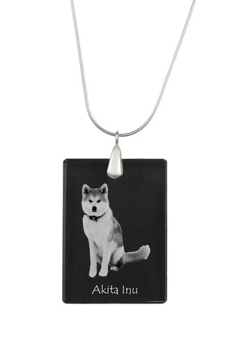 Akita inu - inu,