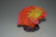 Corail D'Aquarium + Jaune