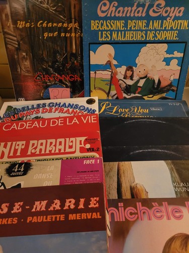 Disques 33t vinyles divers - 12,