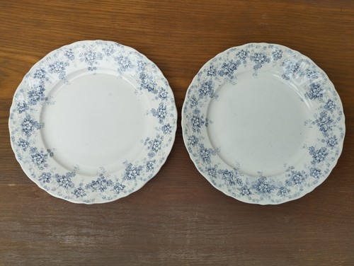 Assiettes plates société - assiettes,