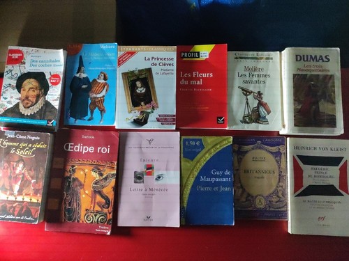Gros lot 19 - lot,