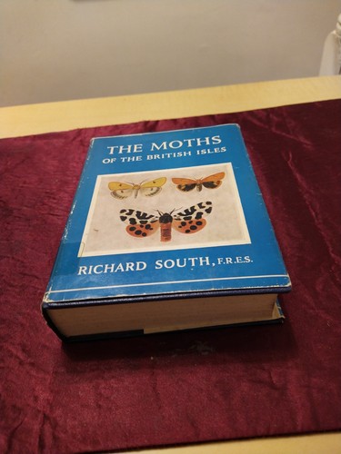 The moths - the,