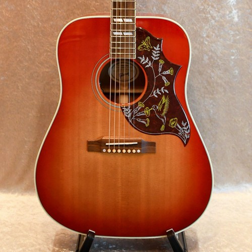Gibson hummingbird 2019 - gibson,