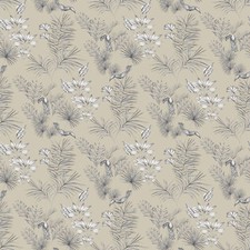 WLD53112W - Sauvage Toucan