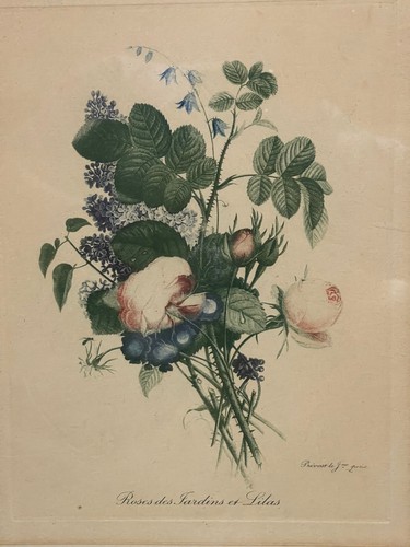 Estampe ancienne signée roses