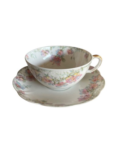 Antique haviland limoges - &, co.