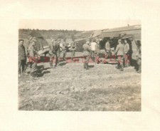 2 x photo, ww2, dans les forêts d'Olkhovka en Russie 1942, cigogne (N)50038
