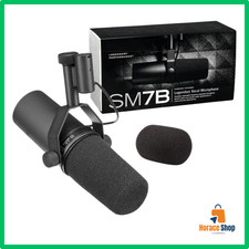 ✅ Microphone Dynamique